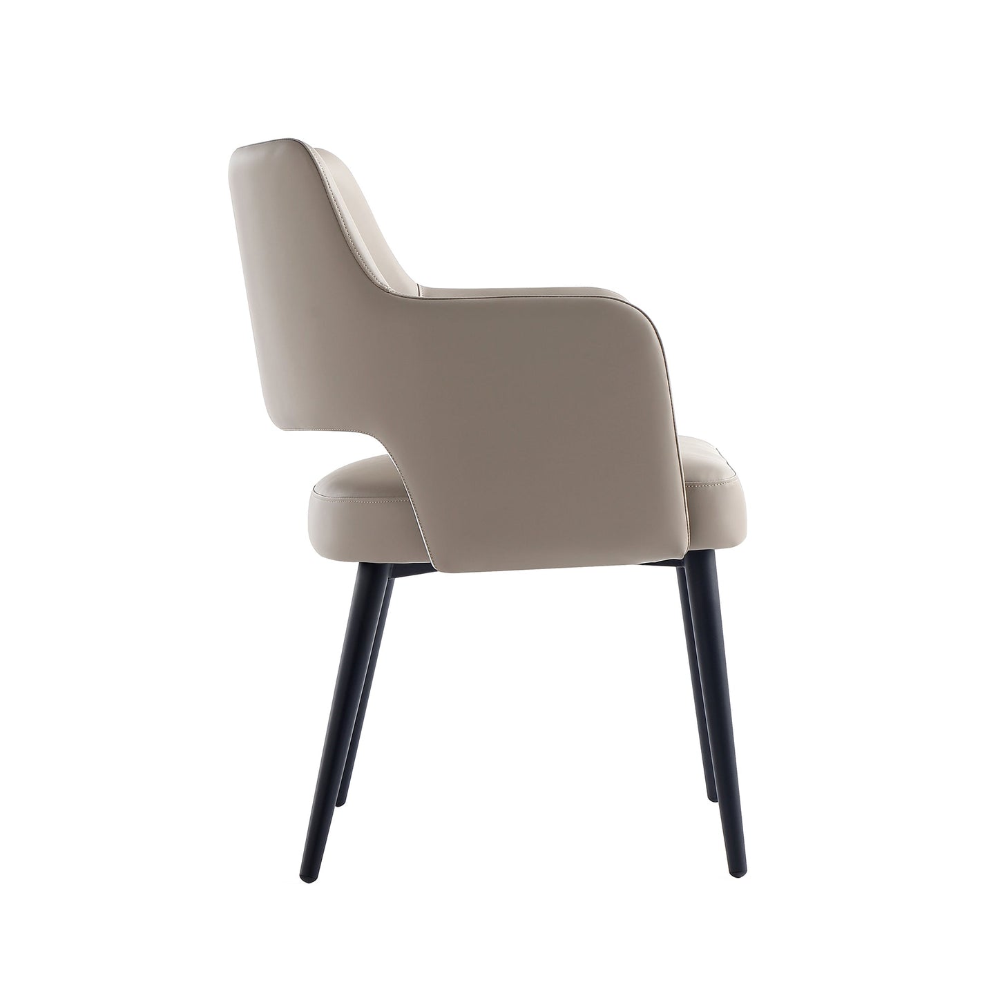 Manhattan Comfort Tremont Dining Arm Chair - Set of 2