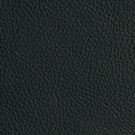 Light Air Grid® Manager’s Chair with Black Top Grain Leather Seat, Adjustable
Lumbar and Platinum Finish Base