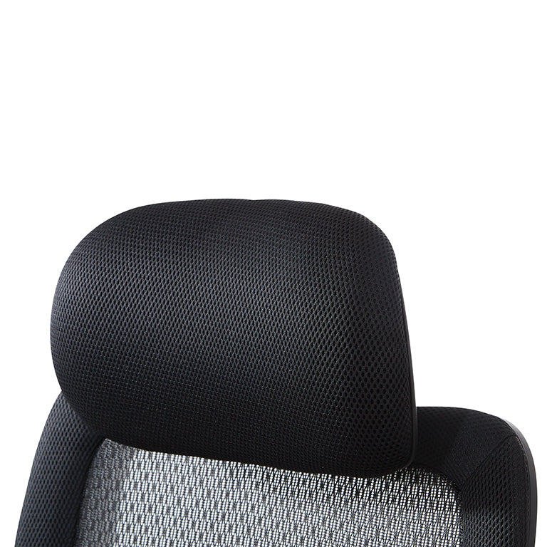 Breathable Mesh Seat and Back, Adjustable Headrest, 2-Way
Adjustable Arms, Adjustable Lumbar and Aluminum Silver Base