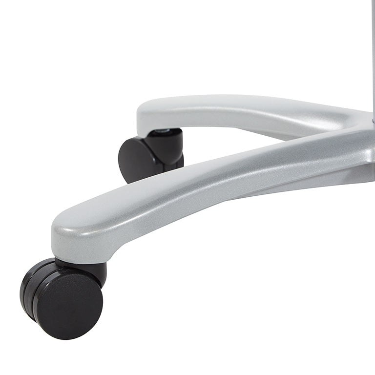 Breathable Mesh Seat and Back, 2-Way Adjustable Arms, Adjustable
Lumbar and Aluminum Silver Base