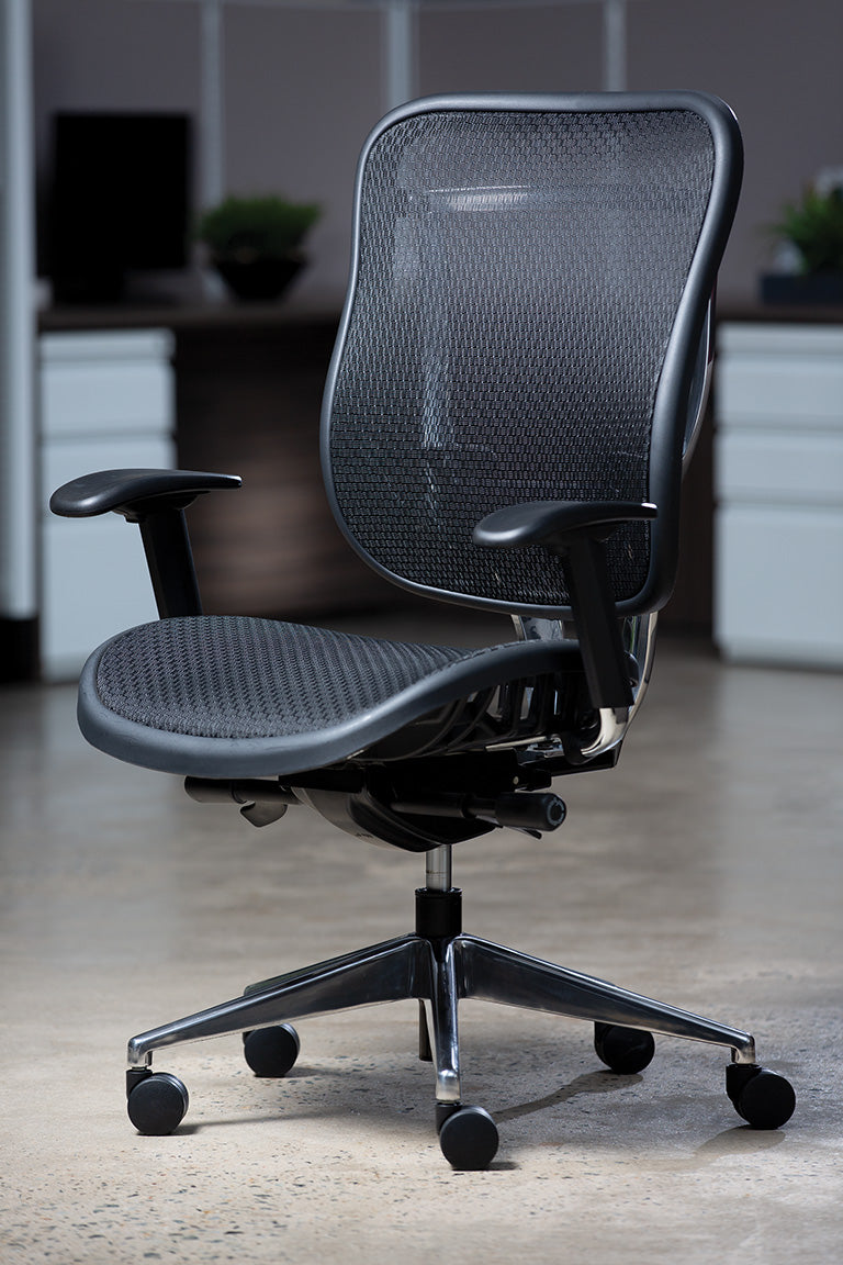 Breathable Mesh Seat and Back Executive Chair with Adjustable
Arms & Lumbar, Seat Slider and Polished Aluminum Finish Base