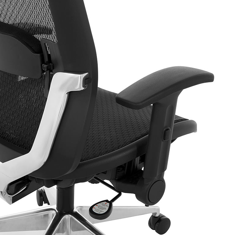Black Matrix Seat and Back, Height Adjustable Lumbar Support, Adjustable
Flip Arms with Polished Aluminum Back Support and Base