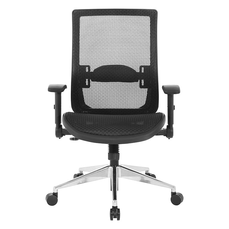Black Matrix Seat and Back, Height Adjustable Lumbar Support, Adjustable
Flip Arms with Polished Aluminum Back Support and Base