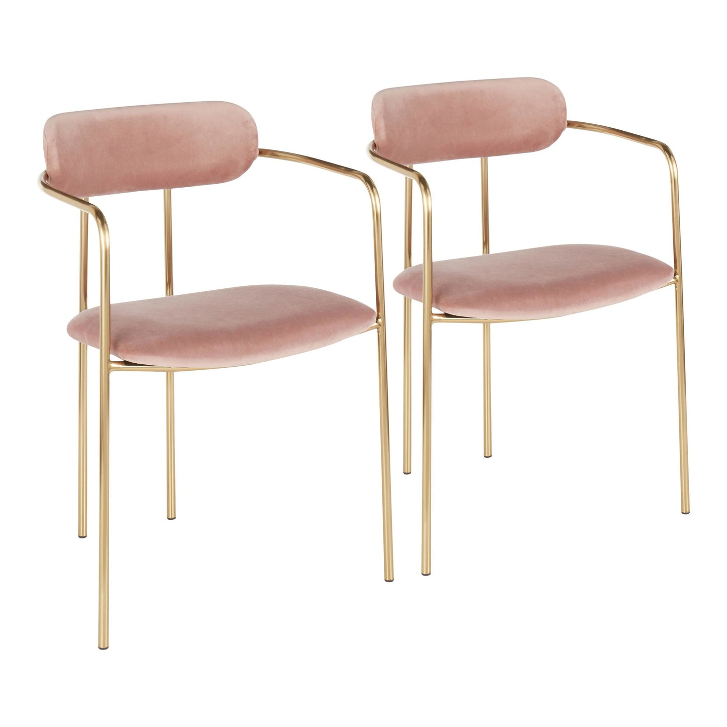 Contemporary Chair in Gold Metal and Black Velvet by Majestic Office Furniture - Set of 2