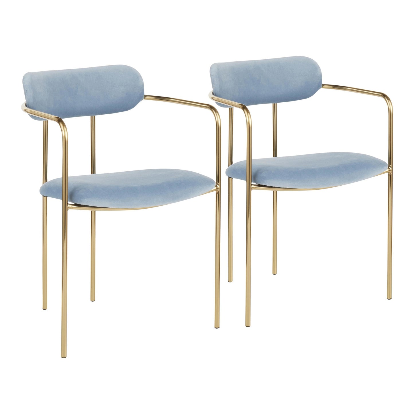 Contemporary Chair in Gold Metal and Black Velvet by Majestic Office Furniture - Set of 2