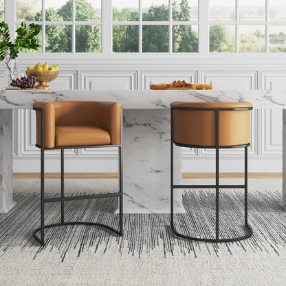 Manhattan Comfort Cosmopolitan Bar Stool - Set of 2