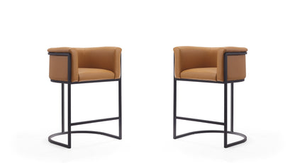 Manhattan Comfort Cosmopolitan Counter Stool  - Set of 2