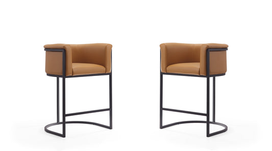 Manhattan Comfort Cosmopolitan Counter Stool  - Set of 2