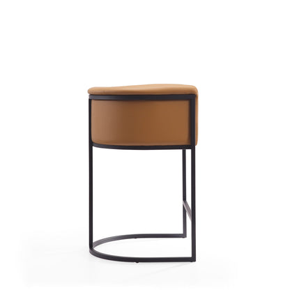 Manhattan Comfort Cosmopolitan Counter Stool  - Set of 2