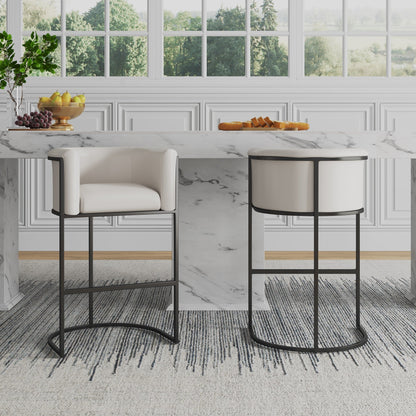 Manhattan Comfort Cosmopolitan Counter Stool  - Set of 2