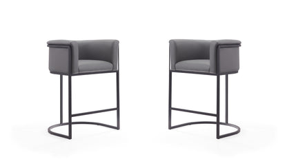 Manhattan Comfort Cosmopolitan Counter Stool  - Set of 2