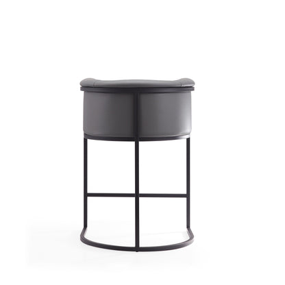 Manhattan Comfort Cosmopolitan Counter Stool  - Set of 2