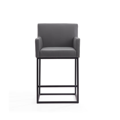 Manhattan Comfort Ambassador Counter Stool  - Set of 2