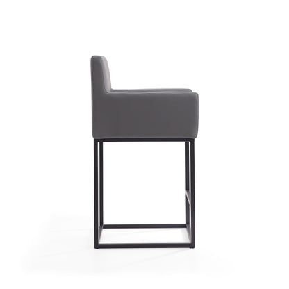Manhattan Comfort Ambassador Counter Stool  - Set of 2