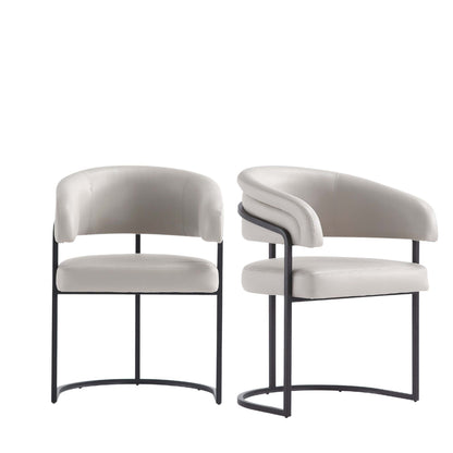 Manhattan Comfort Augusta Dining Chair - Set of 2