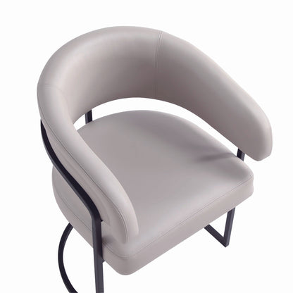 Manhattan Comfort Augusta Dining Chair - Set of 2