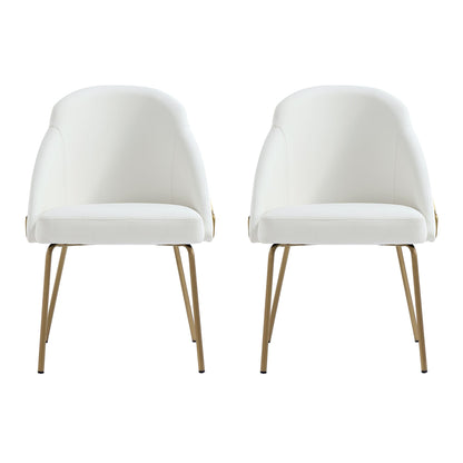 Manhattan Comfort Gracie Dining Chair - Set of 2