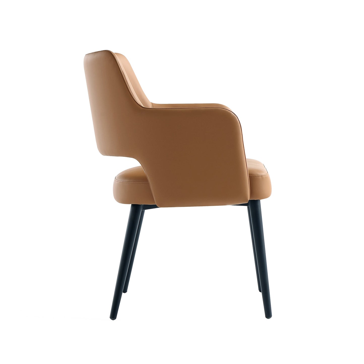 Manhattan Comfort Tremont Dining Arm Chair - Set of 2
