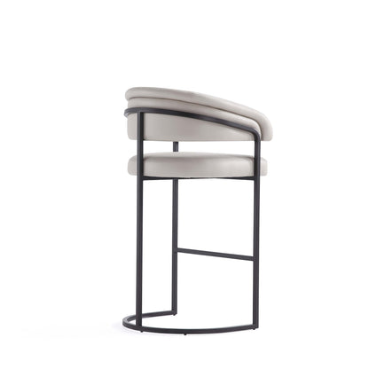 Manhattan Comfort Augusta Barstool