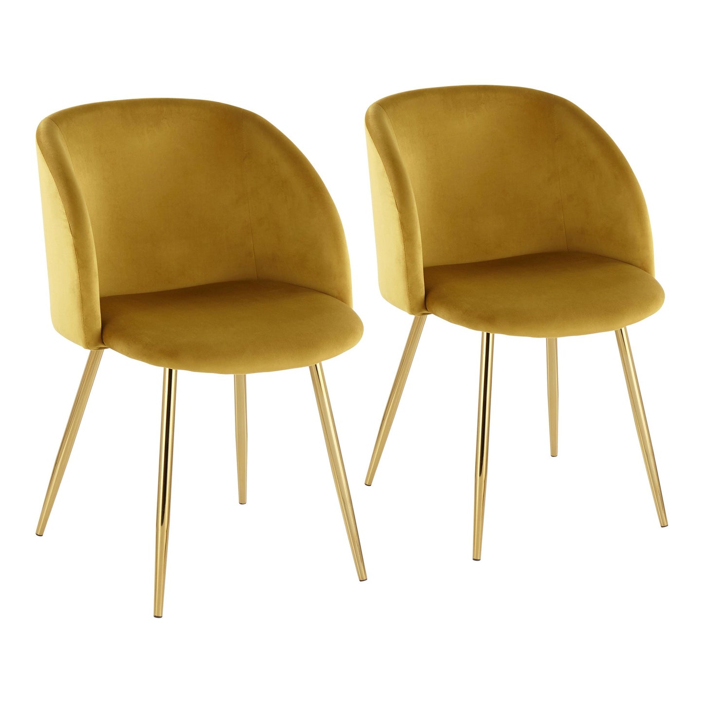 Fran Contemporary Chair in Gold Metal and Black Velvet   - Set of 2
