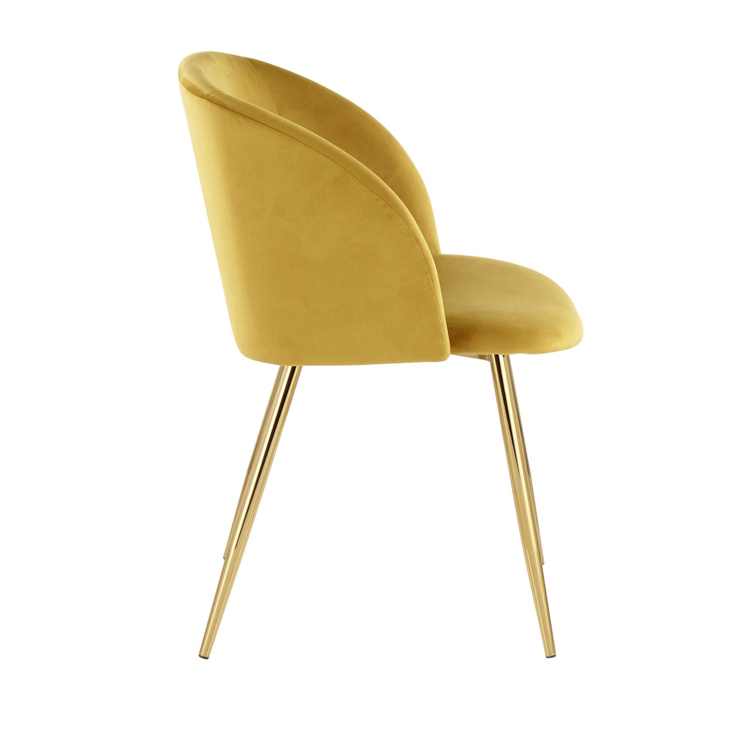 Fran Contemporary Chair in Gold Metal and Black Velvet   - Set of 2