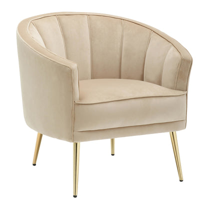 Tania Contemporary/Glam Accent Chair in Gold Metal and Black Velvet